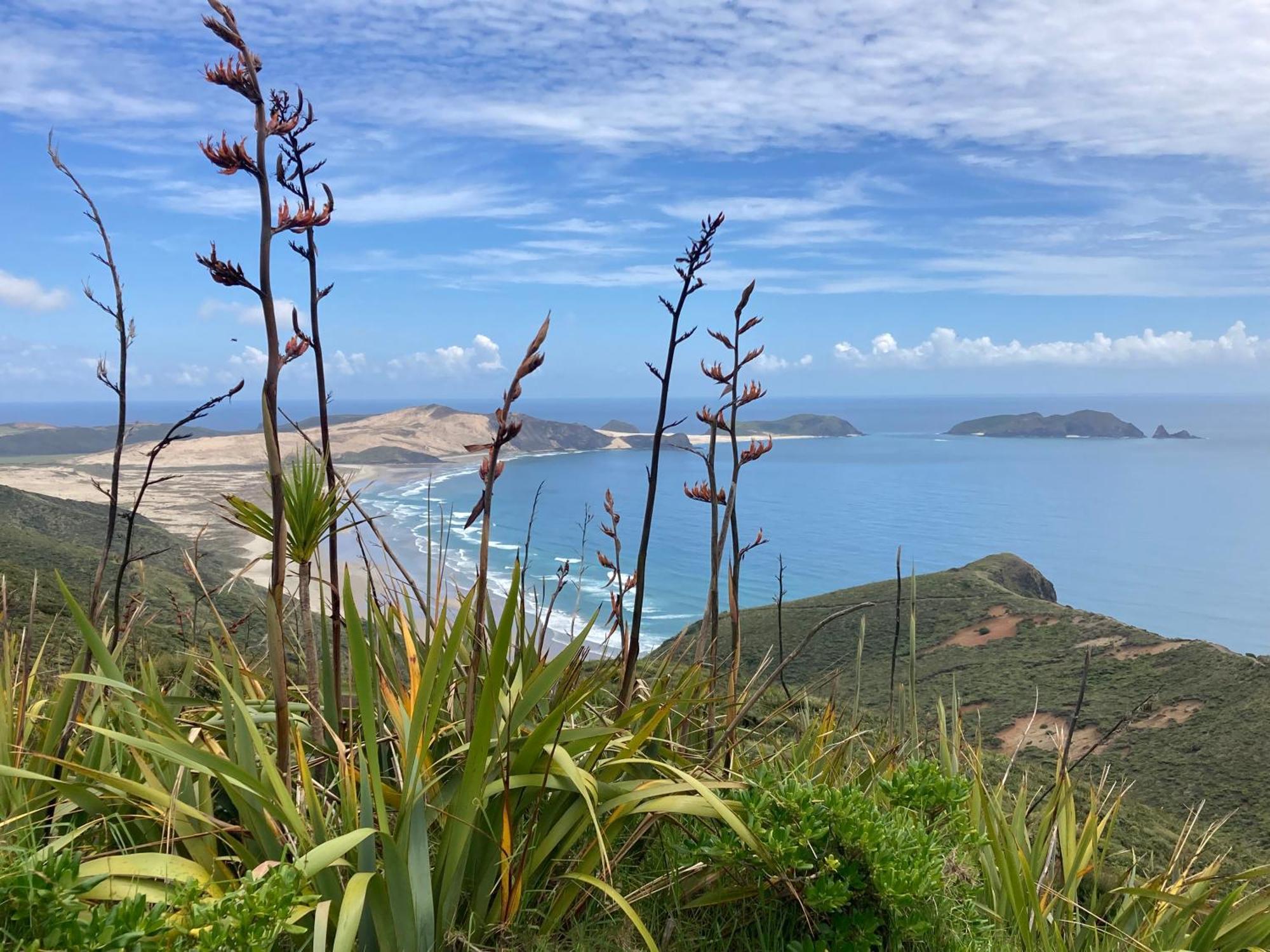 Far North Panorama Villa Kaingaroa Buitenkant foto